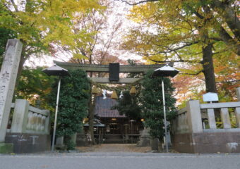 厄除のお祓い（令和7年-令和8年）